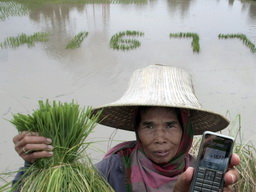 DTAC02_01